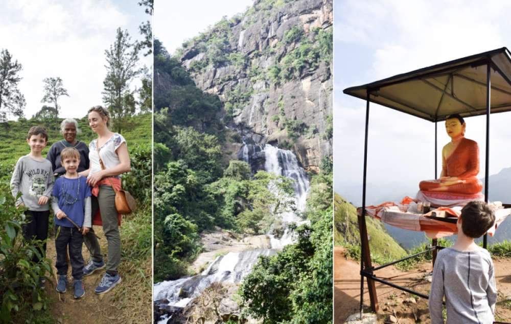 voyage au Sri lanka en famille : Ella dans les montagnes et les plantations de thé